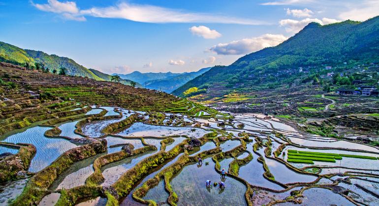 中国山水图 溪山神韵》孔红贵国画山水青绿泼墨重彩山水画简约现代中式客厅